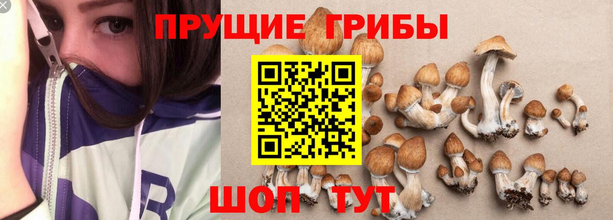 Галлюциногенные грибы Magic Shrooms Старый Оскол